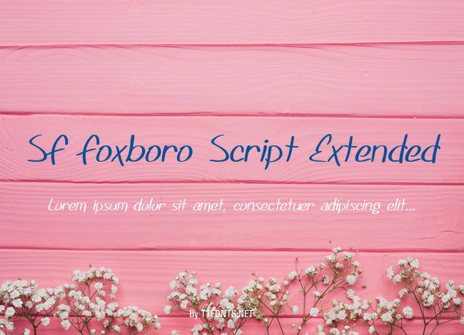 SF Foxboro Script Extended example