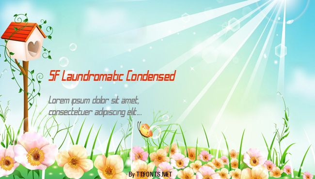 SF Laundromatic Condensed example