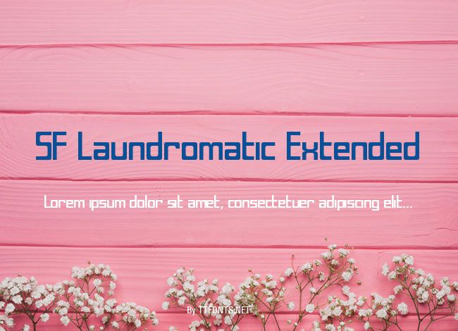 SF Laundromatic Extended example