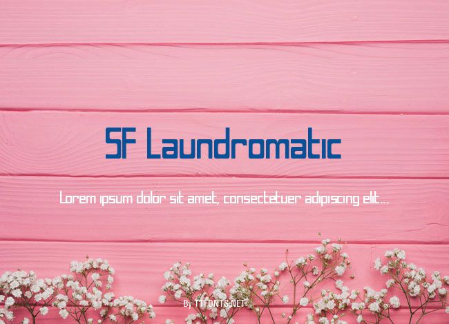 SF Laundromatic example