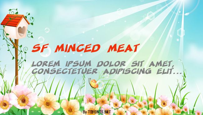 SF Minced Meat example