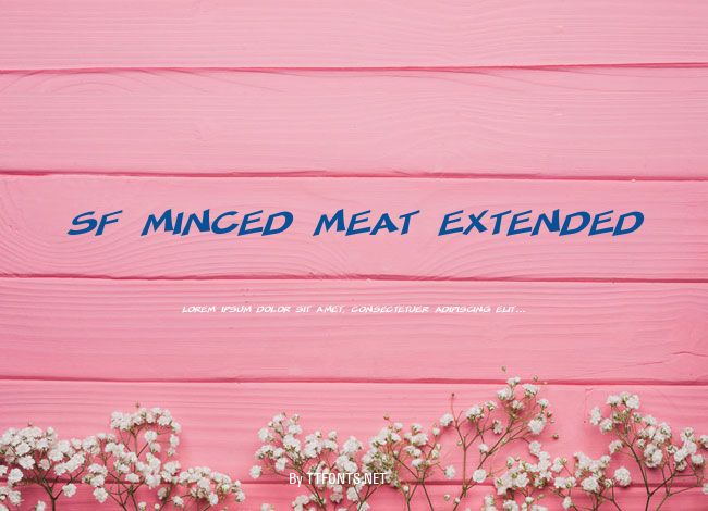 SF Minced Meat Extended example