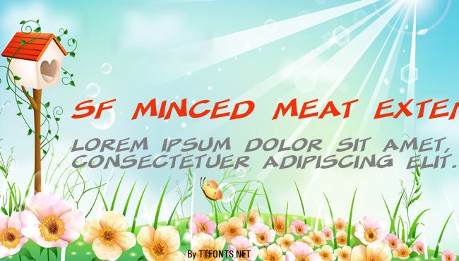 SF Minced Meat Extended example