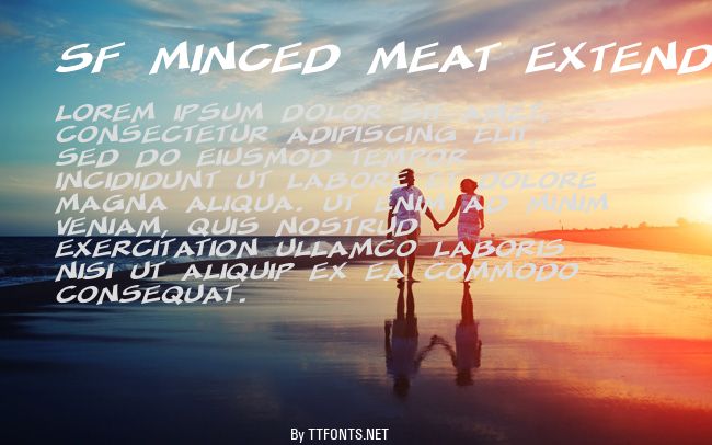 SF Minced Meat Extended example