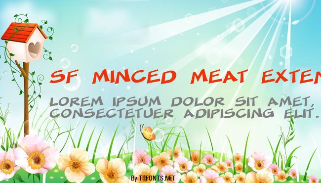 SF Minced Meat Extended example