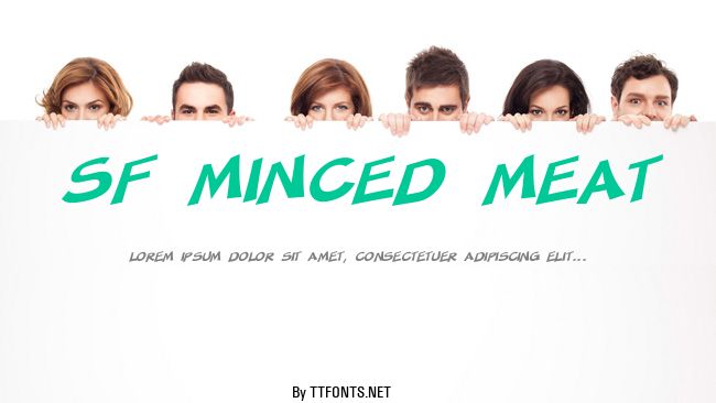 SF Minced Meat example