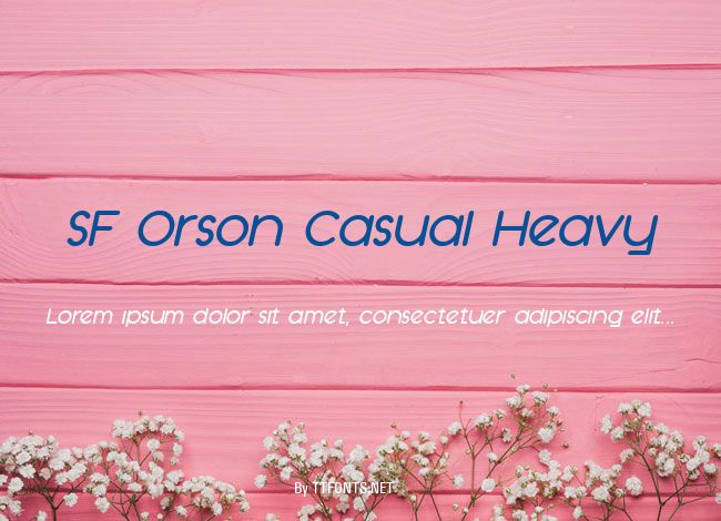 SF Orson Casual Heavy example
