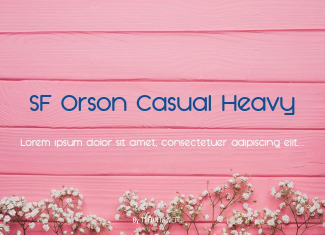 SF Orson Casual Heavy example