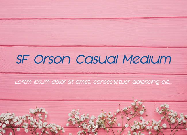 SF Orson Casual Medium example