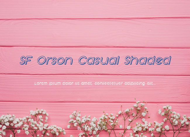 SF Orson Casual Shaded example