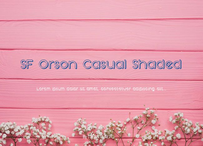 SF Orson Casual Shaded example