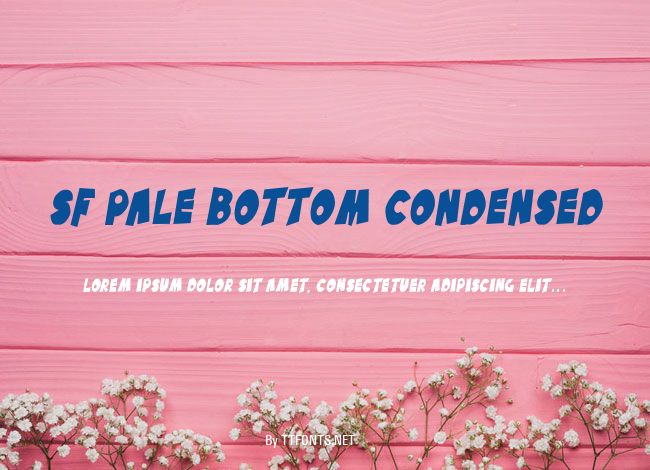 SF Pale Bottom Condensed example