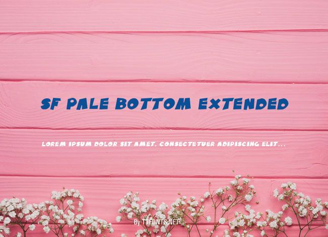 SF Pale Bottom Extended example