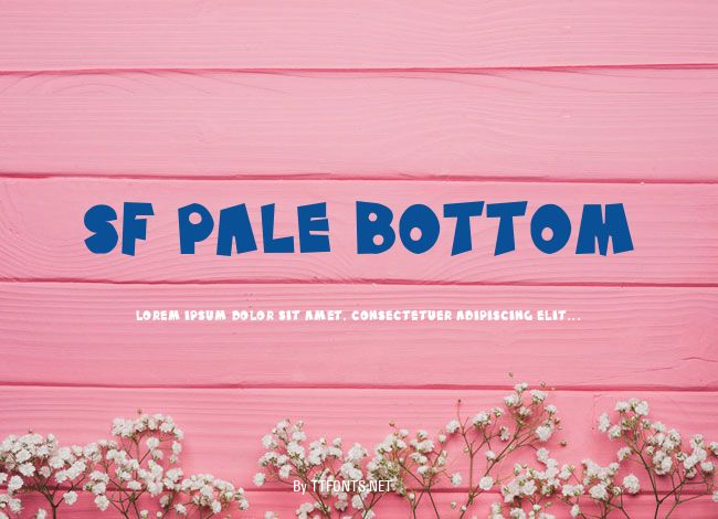 SF Pale Bottom example