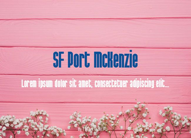 SF Port McKenzie example