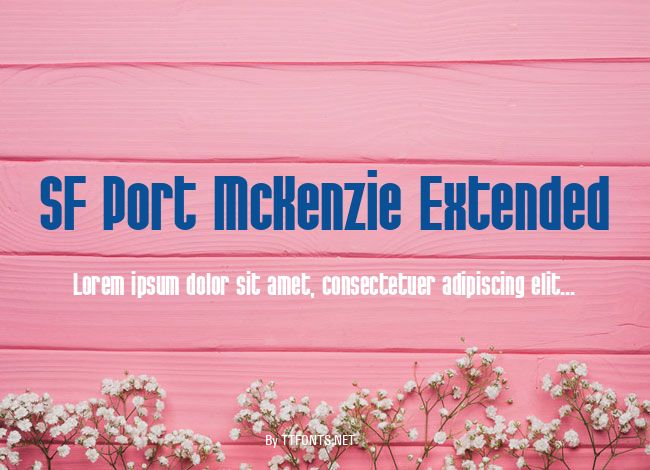 SF Port McKenzie Extended example