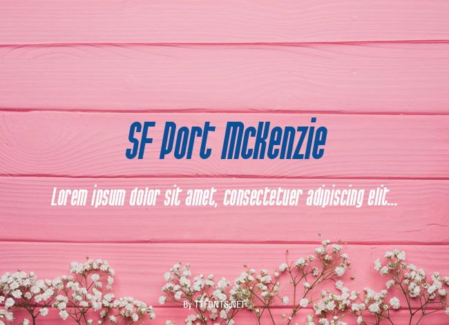 SF Port McKenzie example