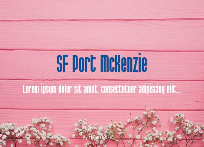 SF Port McKenzie example