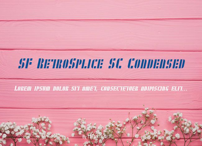 SF RetroSplice SC Condensed example
