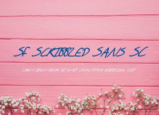 SF Scribbled Sans SC example
