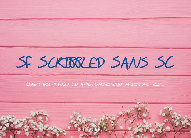 SF Scribbled Sans SC example