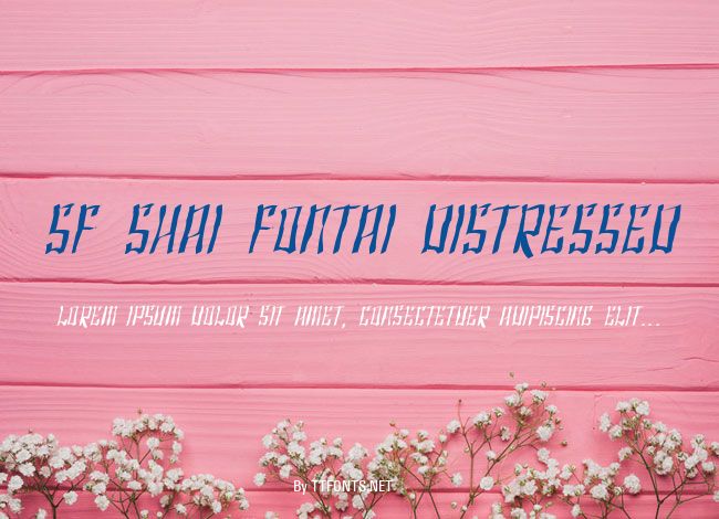 SF Shai Fontai Distressed example