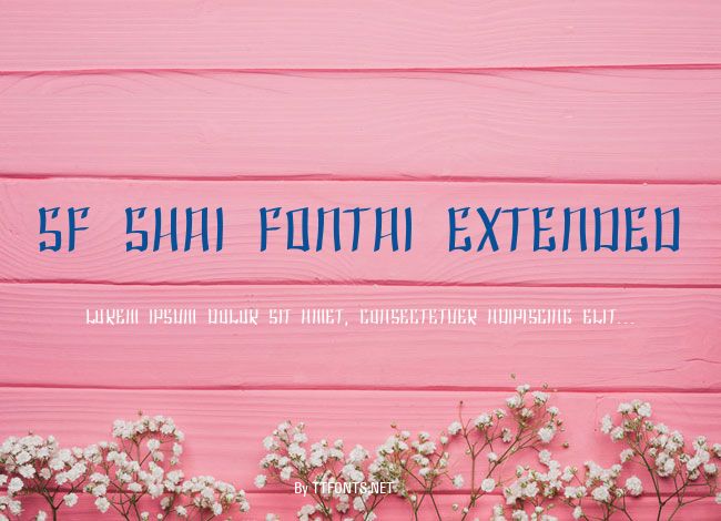 SF Shai Fontai Extended example