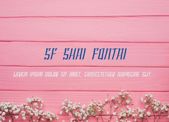 SF Shai Fontai example