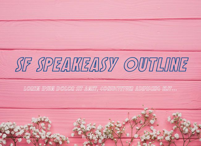SF Speakeasy Outline example