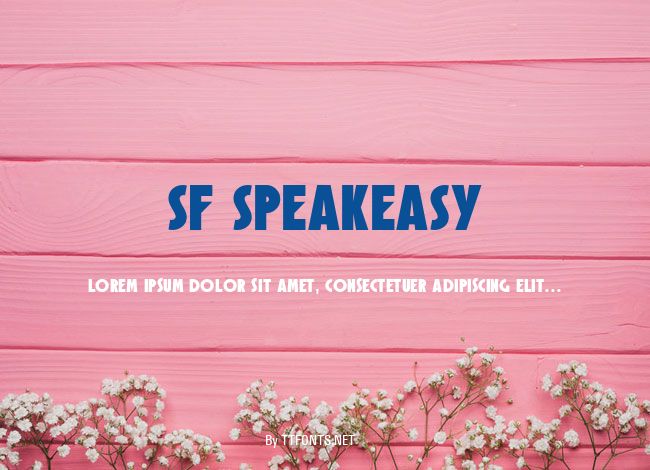 SF Speakeasy example