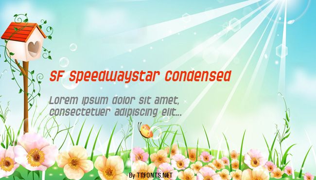 SF Speedwaystar Condensed example