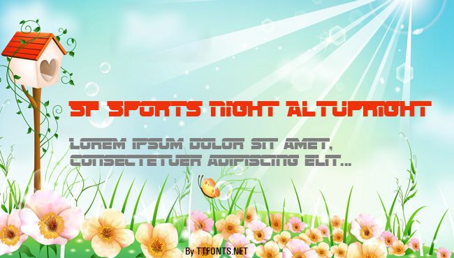 SF Sports Night AltUpright example