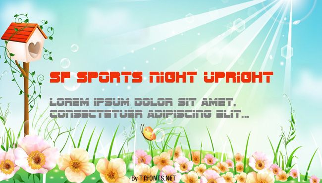 SF Sports Night Upright example