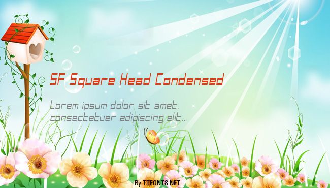 SF Square Head Condensed example