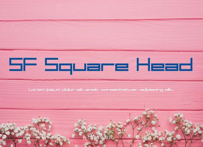 SF Square Head example