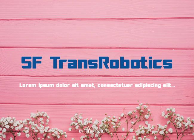 SF TransRobotics example