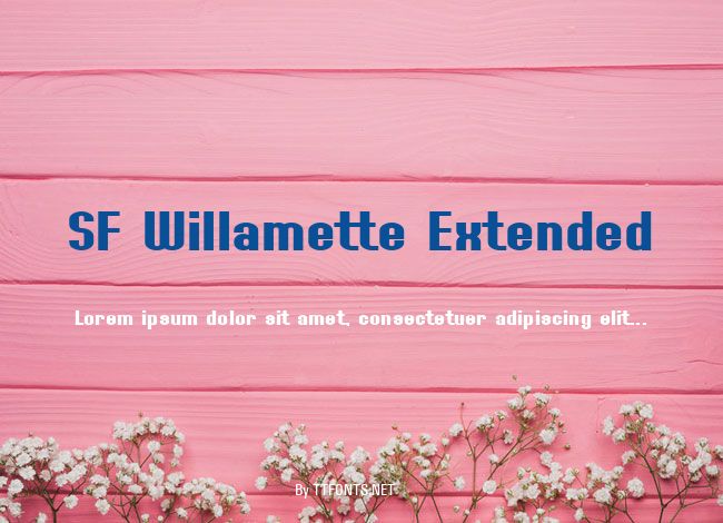 SF Willamette Extended example