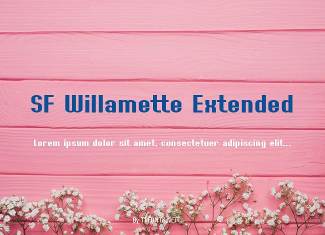 SF Willamette Extended example