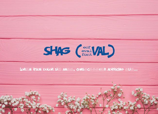 shag (eval) example
