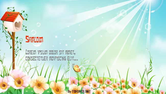 Shalom example