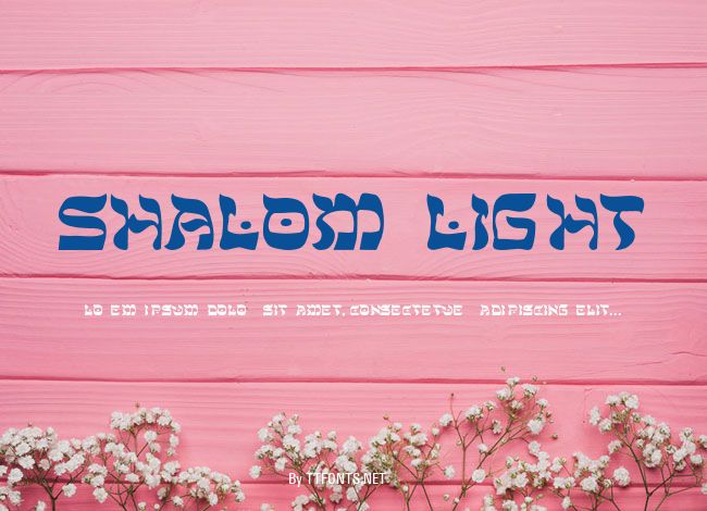 Shalom-Light example
