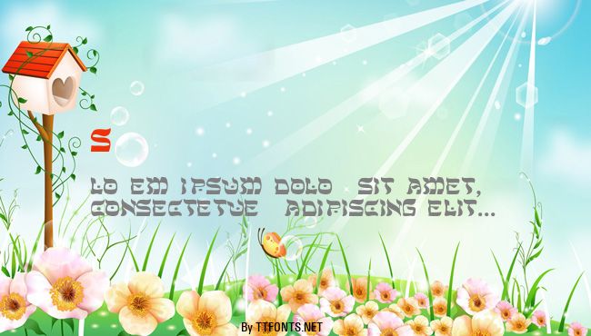 Shalom-Light example
