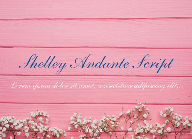 Shelley Andante Script example