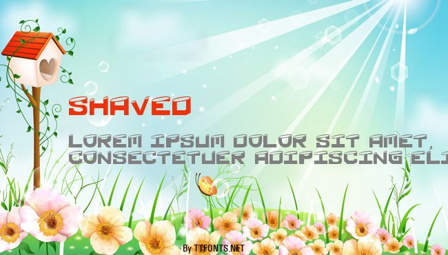 Shaved example