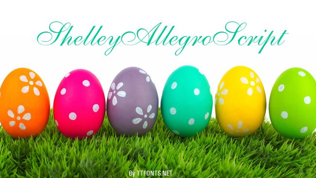 ShelleyAllegroScript example