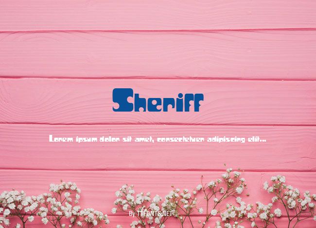 Sheriff example