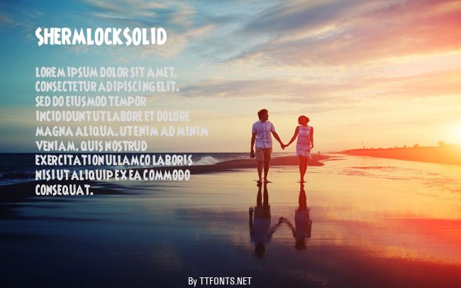 ShermlockSolid example