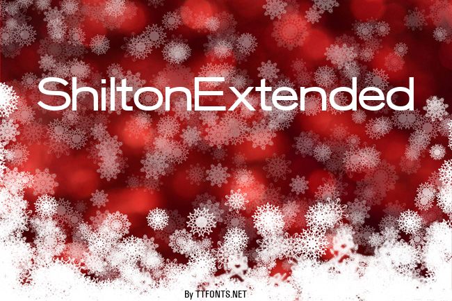 ShiltonExtended example