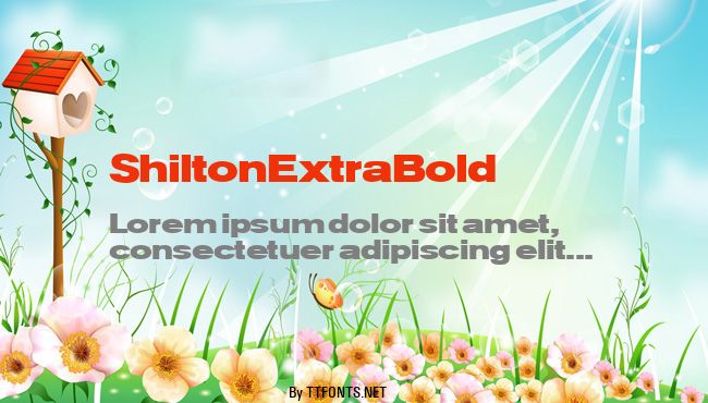 ShiltonExtraBold example