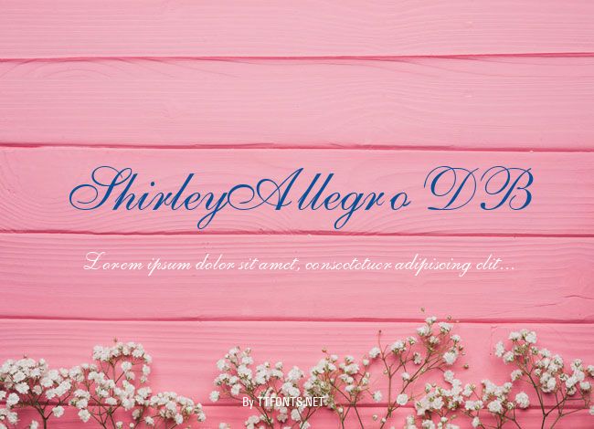 ShirleyAllegro DB example
